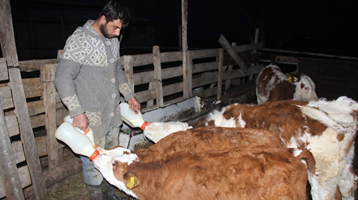 Erzincan’ın Yaylabaşı mahallesinde çiftçilikle uğraşan 25 yaşındaki Ahmet Sefa Köhne, hem lisede hem de üniversitede veterinerlik üzerine eğitim aldı. Üniversiteden mezun olan Köhne, başka bir iş arayışına girmeden Erzincan’da çiftçilik yapmaya başladı. Büyükbaş hayvan besleyip, süt üretimine başlayan Köhne kendi işinin patronu oldu.