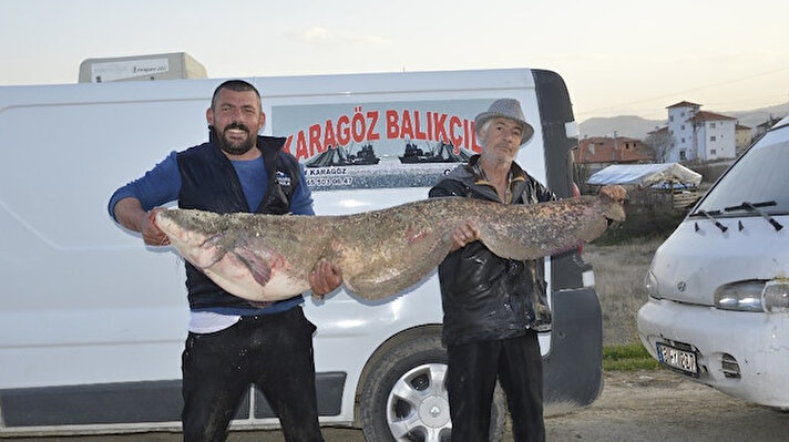Burdur'un Gölhisar İlçesinde bulunan Yapraklı Baraj Gölünde 47 kilogram ve 2 metre boyunda dev yayın balığı yakalandı.

