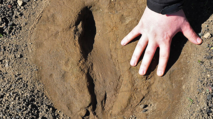 Avrupa UNESCO Jeoparklar ağındaki Kula-Salihli UNESCO Global Jeoparkı'nda bulunan ve daha önce 11 bin yıllık olduğu bilinen ayak izleri ile küllerin geçmişi araştırıldı.