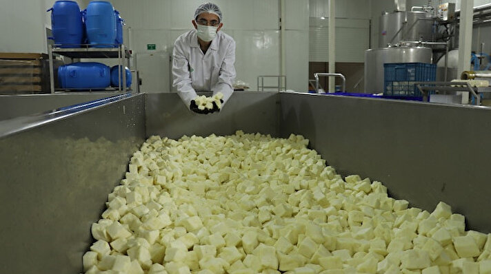 Kahramanmaraş'ta korona virüsten korunmak isteyenler için bol bakteri ve mineralleri barındıran probiyotik beyaz peynir üretildi.