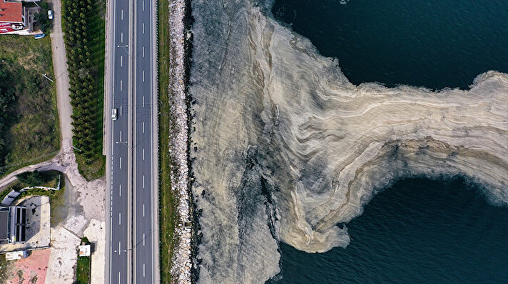 Kocaeli Büyükşehir Belediyesinin yazılı açıklamasına göre, Gölcük ilçesi Halıdere sahil kesiminde deniz yüzeyinde oluşan beyaz tabakayla ilgili inceleme yapıldı.