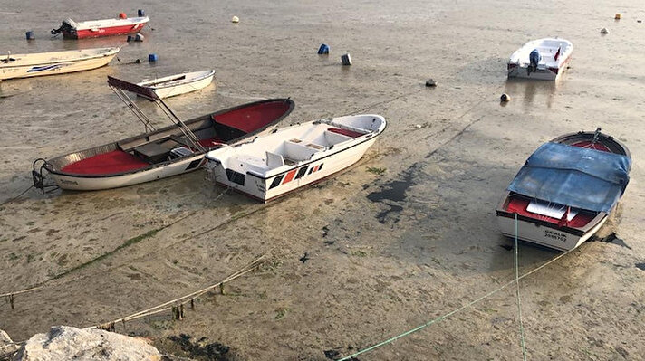 İlkbaharda deniz suyu sıcaklığının yükselmesiyle biyolojik mevsimsel olay olarak meydana gelen plankton patlaması, Marmara Denizi’nin Gemlik Körfezi kıyısını beyaza bürüdü. Sahilin bembeyaz olduğunu görenler, şaşırırken, bazı kişiler de cep telefonlarının kameralarıyla fotoğraf ve görüntü çekti.