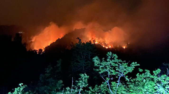 Ardeşen ilçesi bağlı Şenyurt köyü ile Işıklı mahallesi arasında yer alan Afyon Baba Dağı'nda akşam saatlerinde ormanlık alanda henüz bilinmeyen nedenle yangın çıktı.