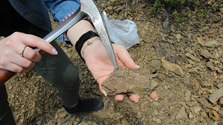 İzmit ilçesine bağlı Umuttepe Bölgesinde yer alan kayalık alanda, yaklaşık 400 milyon yıl önce denizde yaşayan canlılara ait fosil kalıntıları bulunuyor. 