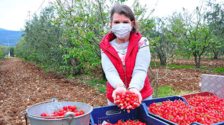 İstanbul'da, özel sektörde uzun yıllar muhasebe ve mali işlerde çalıştıktan sonra kariyerini geride bırakarak, kendi işini yapmaya karar veren, 1 çocuk annesi Bilge Ünver, çiftçiliğe karar verdi. 
