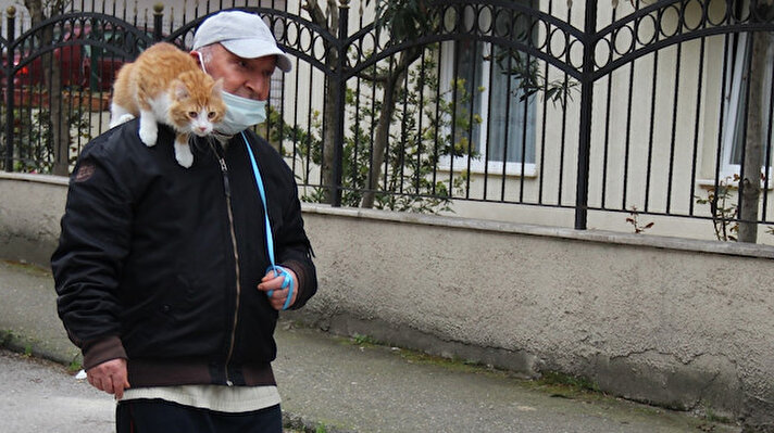 Kocaeli’nin Gölcük ilçesinde yaşayan emekli Metin Gül (65), yaklaşık 1 yıl önce yavru bir kedi sahiplendi. İsmini ’Boncuk’ koyduğu kedisine zamanının çoğunu ayıran Gül, onu bir an olsun yalnız bırakmıyor. 
