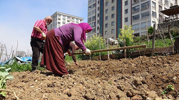 Lüks siteler arasında kalan arazilerinde tarla belleyip tarım yapmaya çalışan Adanur ailesi, yıllardan beri toprakla uğraştıklarını belirterek tam kapanmayı bahçelerinde çalışarak geçiriyor.
