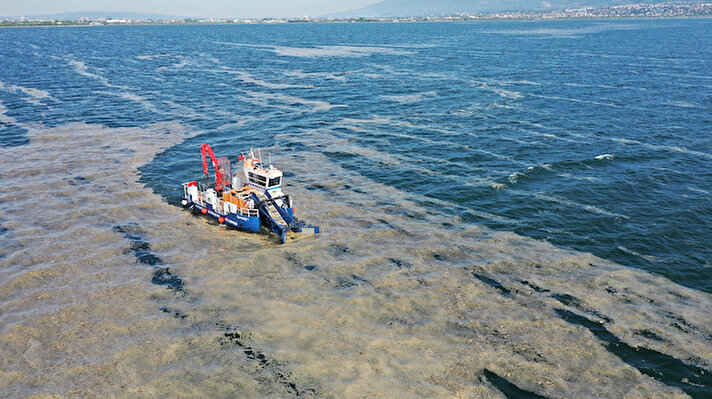 Kocaeli Büyükşehir Belediyesinden yapılan açıklamaya göre, İzmit Körfezi'nde görülen ve denizlerde balıkçılık faaliyetlerinin durmasına neden olan müsilaj ile mücadele çalışması yürütülüyor.

