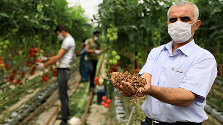 Turizm kenti Antalya'da kısıtlamadan muaf çiftçiler, üretimin aksamaması için 17 günlük tam kapanmada üretime devam ediyor. 
