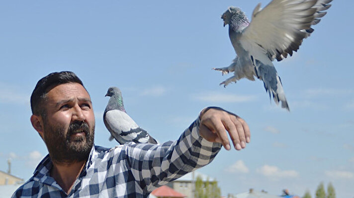 Ağrı merkez Mehmet Akif Ersoy Mahallesi'nde yaşayan evli, 1 çocuk babası Metin Kaya, 7 yaşında başladığı güvercin sevdasını 29 yıldır hiç ara vermeden sürdürüyor. 