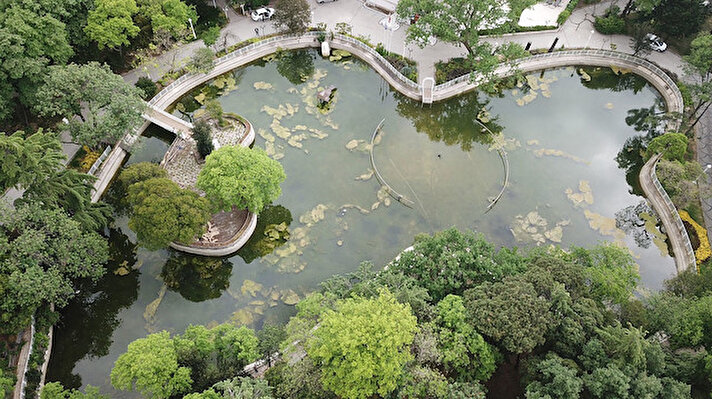 Beşiktaş Yıldız Parkı içerisinde bulunan Çadır Köşkü önündeki havuzun yosunlar ve çöplerle dolu hali, bir sosyal medya kullanıcısı tarafından görüntülenip, yayınlandı.