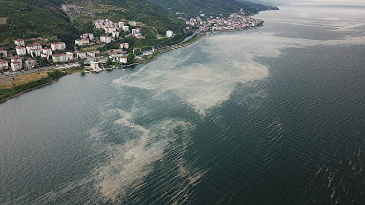 Kocaeli Büyükşehir Belediyesi ekiplerinin temizlik çalışmasıyla bir süre önce temizlenen Gölcük Değirmendere sahilinde yeniden deniz salyası görülmeye başlandı.