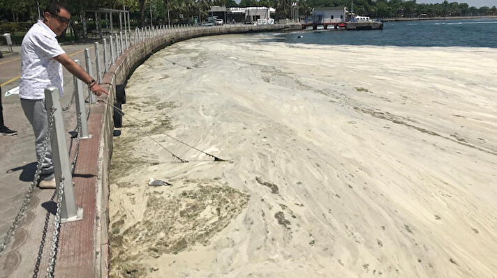 İzmit Körfezi'nde yaklaşık 2 aydır görülen ve belediye ekiplerinin temizlik çalışmalarıyla arındırılan deniz yüzeyi, yeniden deniz salyası ile kaplandı.