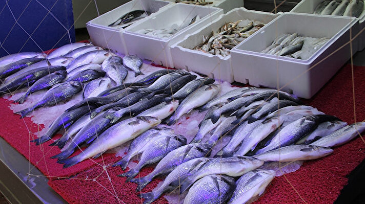 Yiyecek bulamayınca balıkçı tezgahlarına saldırarak balık çalan martılar satıcıları bezdirdi. Duruma çare arayan balık satıcıları tezgahın önüne file çekerek önlem aldı. Alınan önlem sonrası martılardan kaynaklanan kayıp sona erdi.