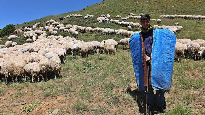 Tunceli'nin yüksek kesimli yaylalarında ailesiyle birlikte geçimini sağladığı sırada hazırlandığı TEOG sınavında 120 sorunun tamamını doğru yanıtlayıp Amerikan Robert Lisesi'ne yerleşmeyi başaran Mahir Gündoğdu, bu yıl mezun oluyor. Türkiye birinciliğiyle yerleştiği Robert Lisesi'nin ardından Gündoğdu, şimdi Pülümür'ün 2 bin 600 rakımlı Çobanyıldızı Yaylası'nda koyun güderek, Tilburg Üniversitesi'ne girmek için çalışıyor.