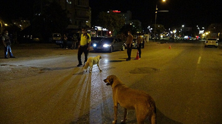 Adana’nın Kozan ilçesinde akşam 20.00-22.00 saatleri arasında 6 ayrı noktada yaklaşık 150 polis ve bekçi ile “huzur ve güven” uygulaması gerçekleştirildi.