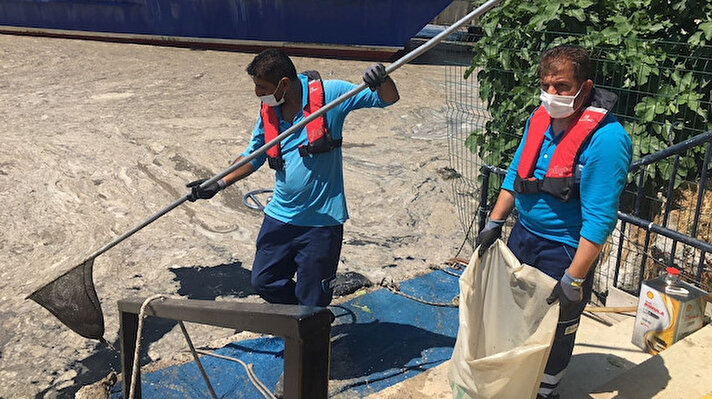 Çevre ve Şehircilik Bakanlığınca ’Marmara hepimizin’ sloganıyla başlatılan müsilaj temizliği, Bostancı sahilinde devam ediyor. Boğazda etkisini devam ettiren müsilaj ekipler tarafından çıkartılarak çöp torbalarına koyuluyor. Yapılan temizlik çalışması drone ile havadan görüntülendi.