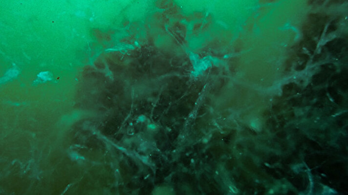 Büyükada'daki bir grup dalgıç, deniz altındaki müsilajı görüntülemek için dalış yaptı.