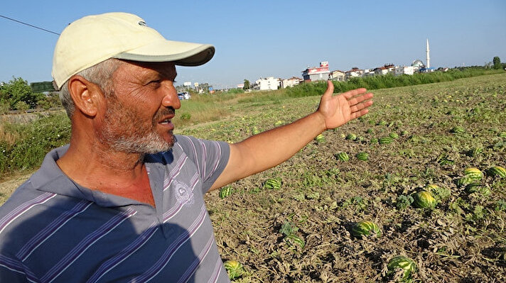 Yaklaşık 1 haftadır havanın aşırı sıcak olması nedeniyle karpuz üreticisi zor günler yaşıyor.