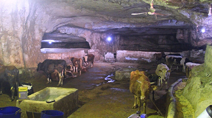 Şanlıurfa'da asırlar öncesinde ibadethane ve çilehane gibi amaçlar doğrultusunda kullanılan mağaralardan birçoğu 20. yüzyıldan sonra turizme kazandırılırken, bazı mağaralar ise halen daha barınma gibi farklı amaçlarda da kullanılıyor. 