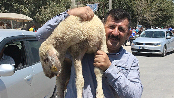 Tüm Türkiye’de olduğu gibi kurban telaşesinin yaşandığı Kilis’te, hayvan pazarında haraketlilik yaşanıyor.