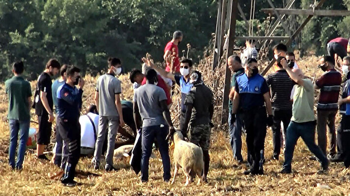 Avcılar'daki kesim yeri olarak belirlenen Saadetdere Metrobüs Durağı'nın yakınındaki alana akın eden yüzlerce kişi kurbanlık hayvanlarını alarak sıra ile kestirmek istedi.