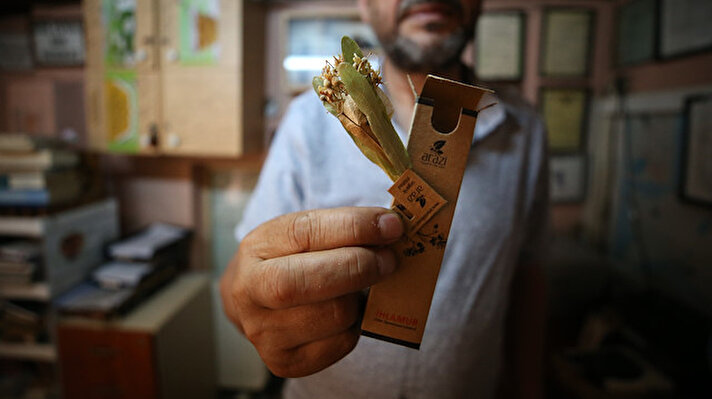 Önceleri siyah çay işiyle ilgilenen Bayram, 2005 yılında organik bitki çayı işi yapmaya karar verdi. 