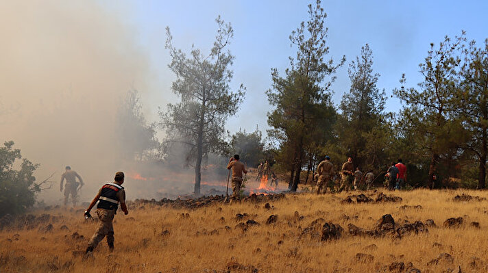 Kilis’in Gülbaba ve Demirciler köyü orasındaki ormanlık alanda henüz bilinmeyen bir nedenle yangın çıktı.