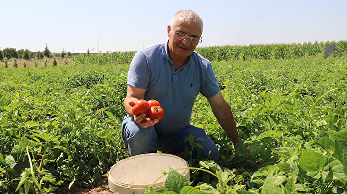 Sultandere 75. Yıl Mahallesi’nde 35 dönümlük arazisi bulunan Vahap Demir, 20 yıldır sebze üreticiliği yapıyor. Farklı türlerde sebze yetiştiren Demir, tarlasının 20 metre uzağındaki manav tezgahında ürünlerini satıyor
