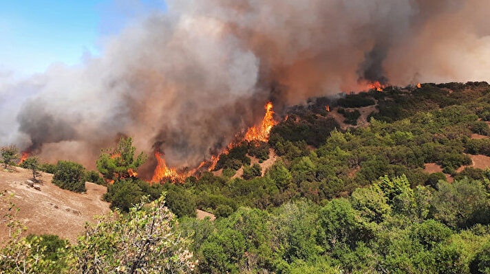 Türlübey Mahallesi yakınlarındaki ormanlık alanda henüz belirlenemeyen nedenle yangın çıktı.