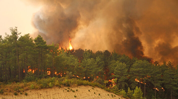 Manavgat ilçesinde 6 gün önce başlayan orman yangını ilerlemeye devam ediyor.