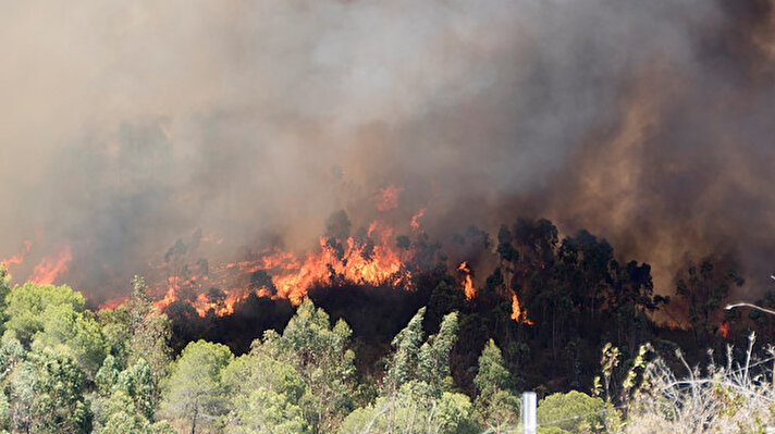 İspanya'nın kuzeydoğusundaki Katalonya bölgesinde 26 Temmuz'da son iki yılın en büyük orman yangını yaşandı.
