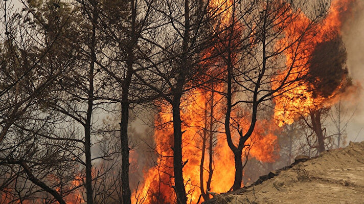 Manavgat’ta geçtiğimiz hafta Çarşamba günü 4 farklı noktada başlayan yangın, ilçe merkezinden yaklaşık 40 kilometre uzaklıktaki Kızıldağ mevkinde devam ediyor. 