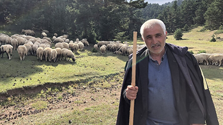Her gün sabahın erken saatlerinde kalkarak gözü gibi baktığı koyunlarını otlatmaya çıkaran 57 yaşındaki çoban Ömer Akça bin 500 rakımlı yaylada tek başına koyunlarını güdüyor.