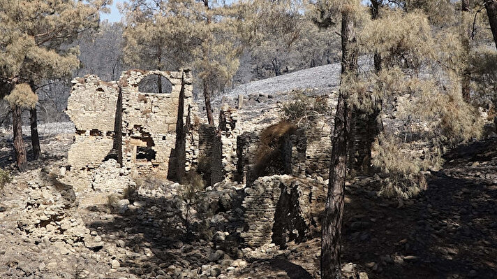 Manavgat'ta 28 Temmuz Çarşamba günü saat 12.05'te başlayan orman yangınlarında 7 kişi hayatını kaybetti, çok sayıda kişi yaralandı ve binlerce hayvan öldü.