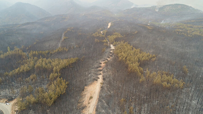 Türkiye’nin orman yangınlarıyla mücadele kapsamında yürütülen çalışmalar aralıksız bir şekilde devam ediyor.