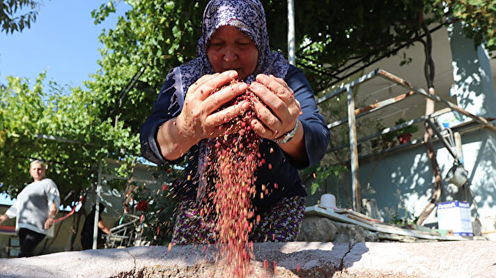 Karaman'ın kuzeyinde bulunan sönmüş volkanik Karadağ'da yetişen sumak, kadınlar tarafından toplanıp taş dibeklerde dövülerek sofra kullanımına hazırlanıyor.