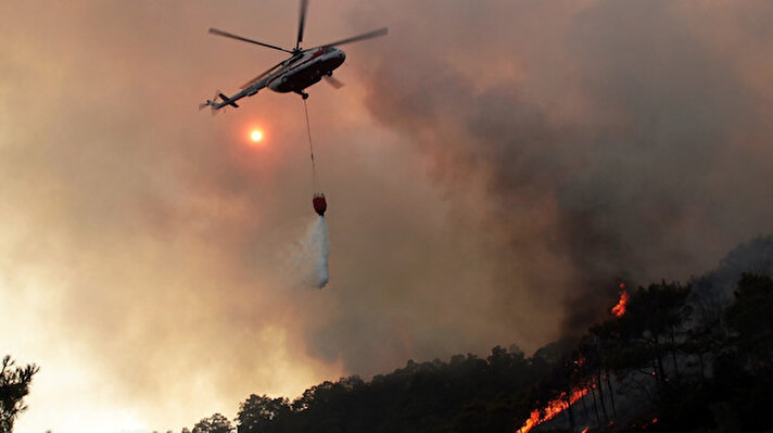 Yüzyılın en büyük orman yangınını yaşayan Muğla’da yaklaşık 66 bin hektar orman-makilik alan zarar gördü.