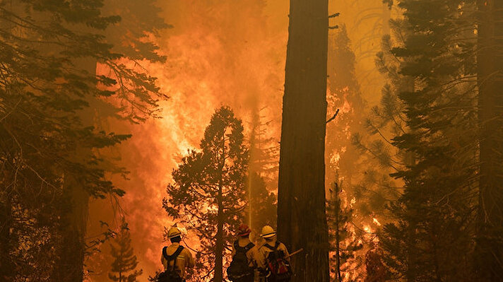 ABD’nin California eyaletinin kuzeyindeki El Dorado’da 14 Ağustos’ta başlayan orman yangını giderek yayılıyor. 