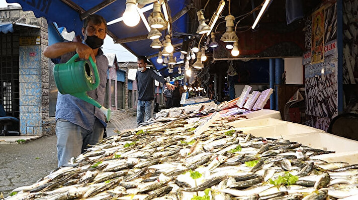 1 Eylül'de av yasağının sona ermesiyle Trabzon'daki balık pazarında da hareketlilik yaşanıyor. Yeni sezonda tezgahları dolduran istavritin kilosu 15 lira, somon, levrek ve çupra 50 lira, mezgit ise kilosu 20 liradan satışa sunuldu.