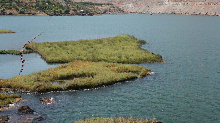 Çelikhan'ın Petelik mevkisindeki Çat Baraj gölünde, oluşumları yaklaşık 3 bin yılda tamamlanan, su altındaki yükseklikleri 3 ile 5 metre, alanları ise 100 ile 500 metrekare arasında değişen çok sayıda yüzen ada yer alıyor.