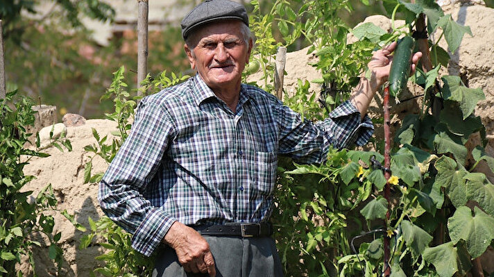 Seyitgazi’de bulunan evinin bahçesinde yeterli alan olmadığı için sebze yetiştirmekte zorluk yaşayan 85 yaşındaki Servet Çelebi, farklı bir fikre imza atarak sebze tohumlarını toprakla buluşturmaya başladı. Civardan getirdiği toprakları tenekelere dolduran Çelebi, 51 yıldır evinin ihtiyacı olan ürünleri yetiştiriyor. İlk başlarda birkaç tenekeyle deneme yapan Çelebi, bugünlerde 85 adet tenekesiyle domates, salatalık, fasulye ve biber gibi sebzeleri üretiyor.
