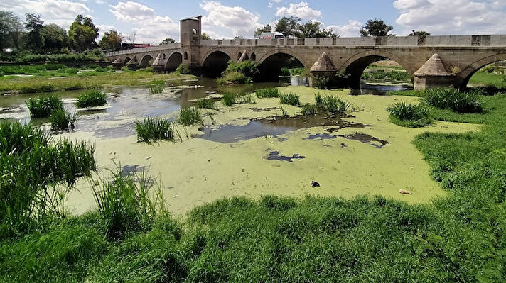 Edirne’de yaz mevsiminin kurak geçmesi sebebiyle Tunca Nehri adeta kuruma noktasına geldi.