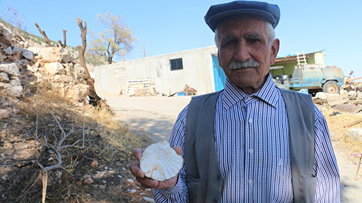 Boğazkaya Mahallesi'nde yaşayan 83 yaşındaki Sırrı Kaya, köyün yakınlarındaki gezdiği esnada ormanlık alanda değişik yapıda bir taş gördü.
