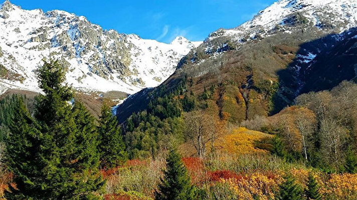Türkiye’nin kuzeydoğu sınırında doğal güzellikleriyle dikkati çeken Artvin, özellikle sonbaharda oluşan renk cümbüşüyle görenleri kendine hayran bıraktırıyor. 