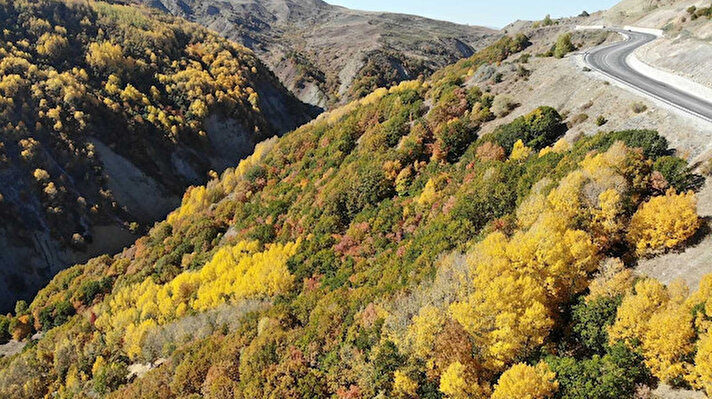 Erzincan - Gümüşhane sınırında Ahmediye mevkiinde dağlar başta olmak üzere yüksek rakımlı bölgelerde sonbaharla oluşan doğal güzellikler, seyrine doyumsuz manzara sunuyor.
