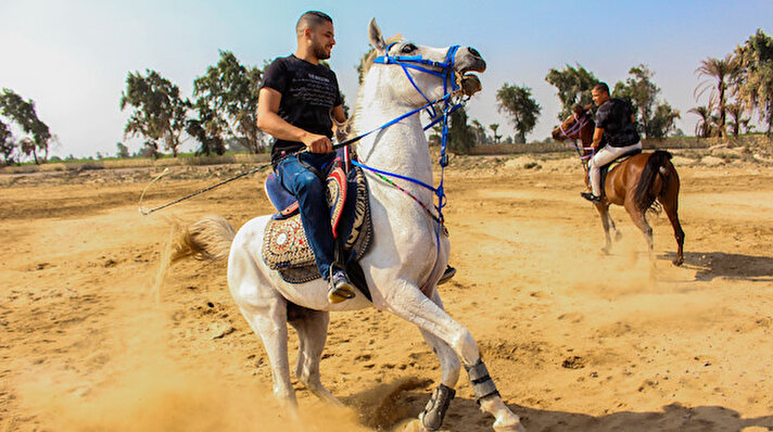 الخيول والفروسية.. صناعة في 'دمو' المصرية