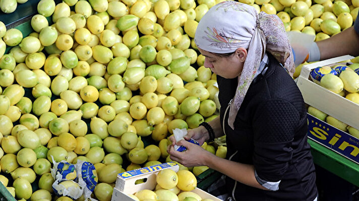 Akdeniz İhracatçı Birlikleri (AKİB) verilerinden yaptığı derlemeye göre, geçen yılın 9 ayında 2 milyon 463 bin ton olan yaş meyve ve sebze dış satımı, bu yılın aynı döneminde yüzde 26 artışla 3 milyon 112 bin tona çıktı.