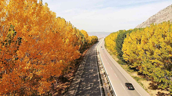 Tokat Turhal kara yolunun her iki tarafında bulunan kavak ağaçlarının yaprakları sonbaharla birlikte sarıya boyandı. Yeşilden sarıya dönen renkleri üzerinde barındıran ağaçların oluşturduğu eşsiz manzara havadan görüntülendi.
