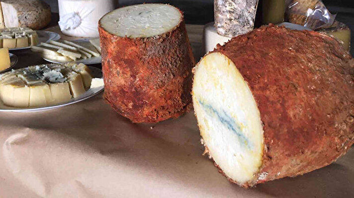 Niğde'de 10 odalı doğal mağarada peynir üretimine başlayan Recai Erbişim Niğde Mavisi peynirini uzun süren ARGE çalışmaları sonucunda üretmeyi başardı.<br>